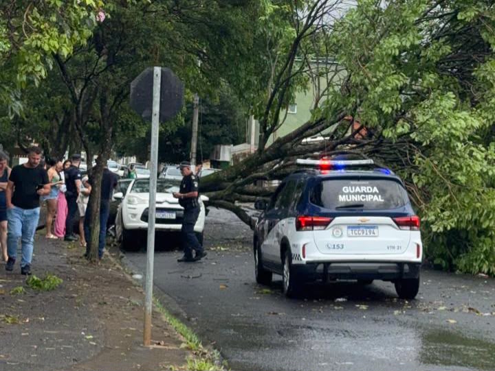 Chuva e vento trazem prejuízos para Cosmópolis